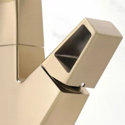 Bathroom Sink Faucet With Pull Out Sprayer Liftable Mixer Tap Brushed Gold RB1196 -Cheap RBrohant Store RB1196 6